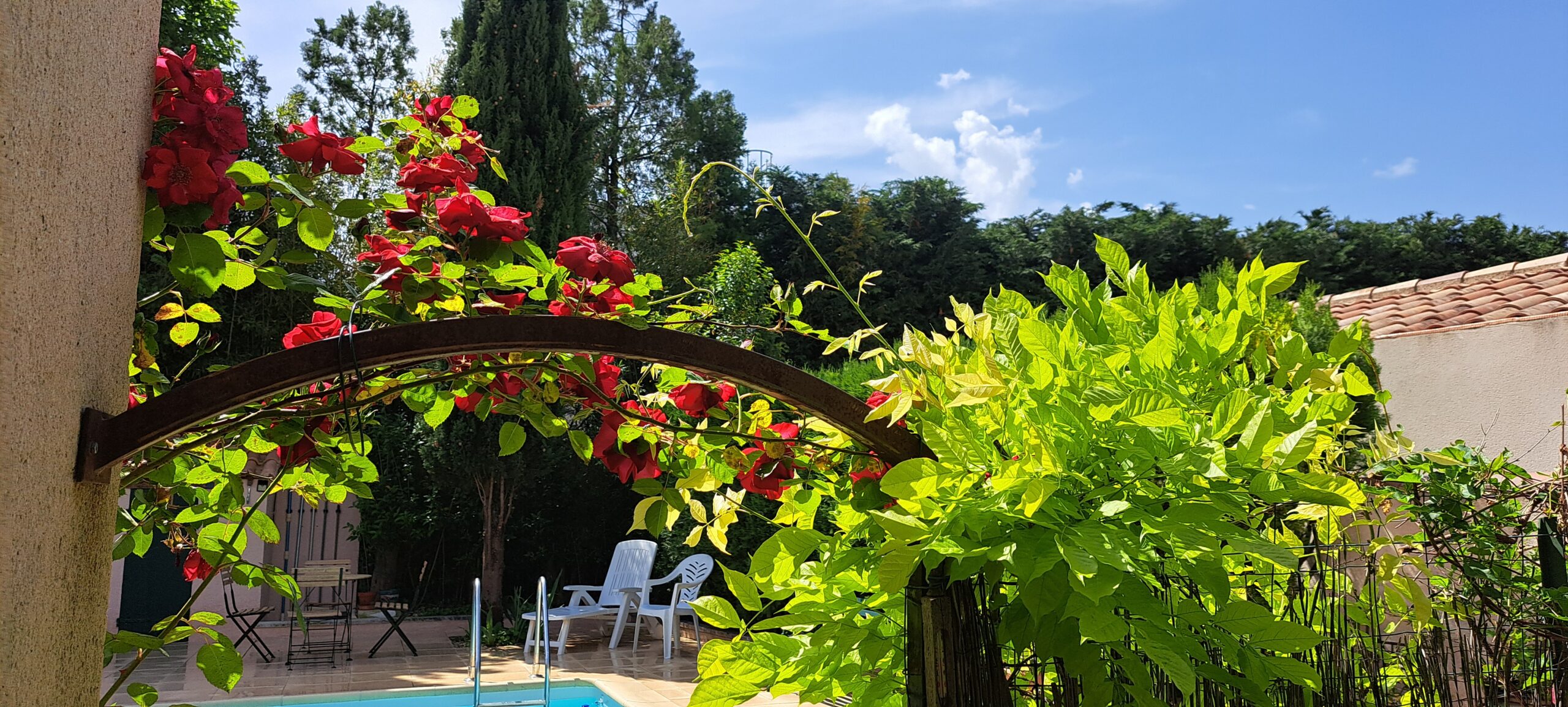 Le ciel bleu azur du printemps à l'Oustau dei Aucèus.