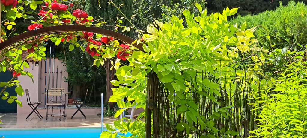 Accès à la piscine partagée par la terrasse de l'Oustau dei Aucèus (vue coté Sud).