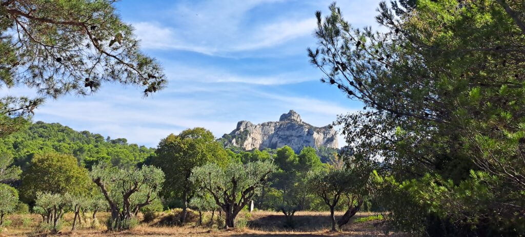 Mont Gaussier à 13210 Saint Rémy de Provence