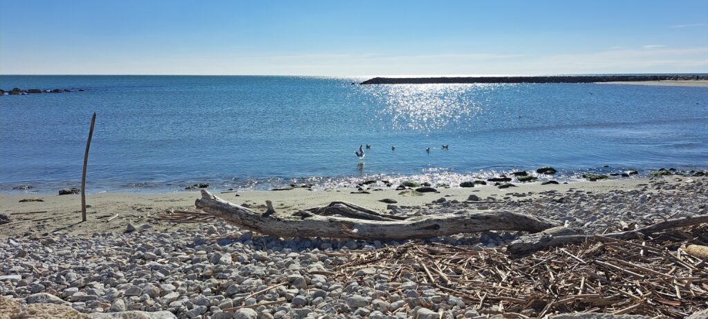 Rivage méditerranéen paisible au printemps, en Provence, avec la lumière du soleil caressant la mer sur une plage des Saintes-Maries-de-la-Mer.