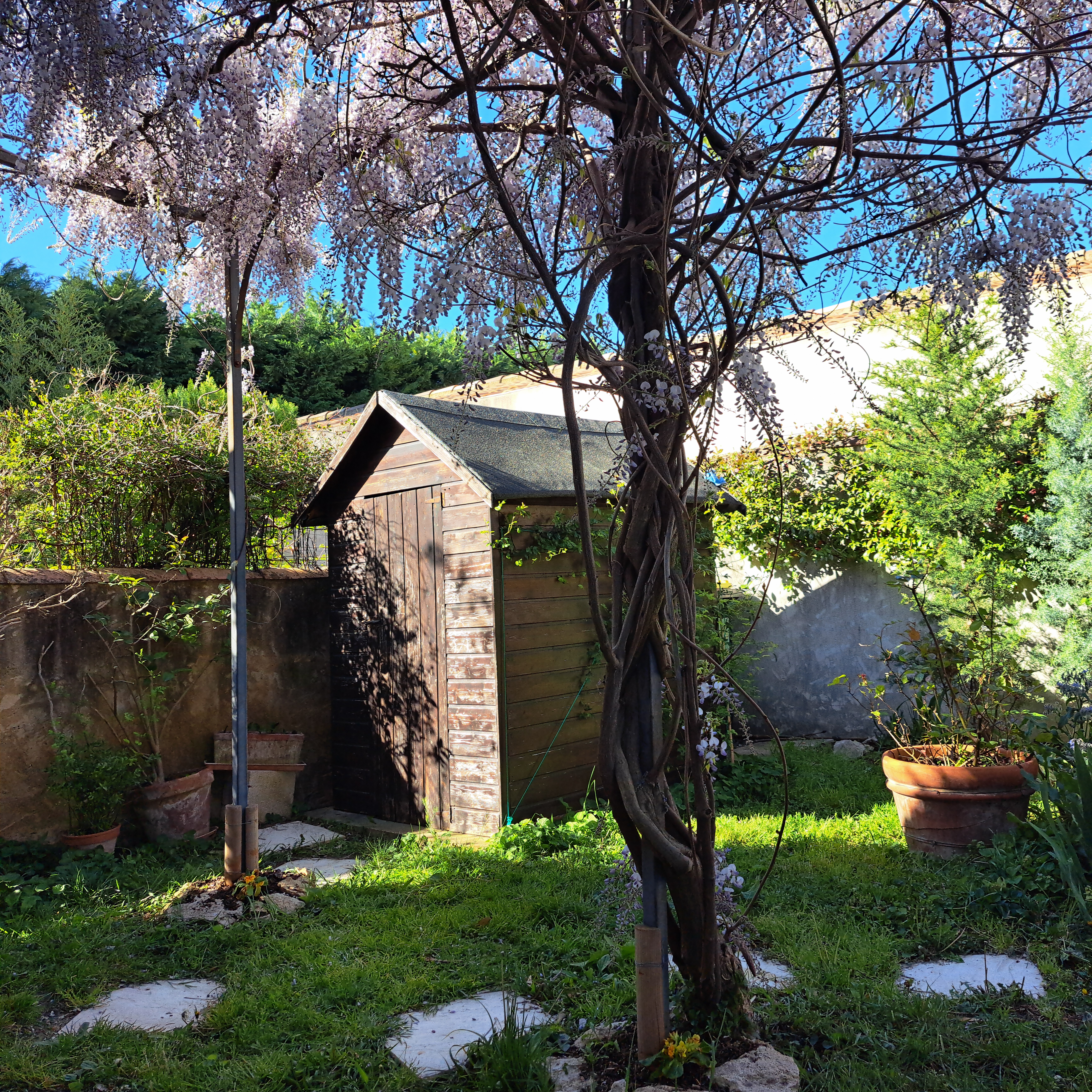 Au fond du jardin de L’Oustau dei Aucèus, une petite cabane de bois se découvre entre la glycine, les arbres et les plantes en pot.