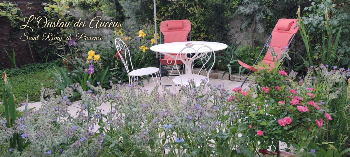 Terrasse privative et jardin fleuri dans l’espace clos et sans vis-à-vis de L’Oustau dei Aucèus à Saint-Rémy-de-Provence.