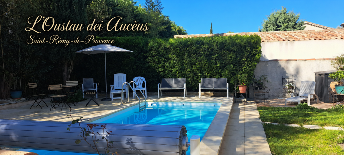 Piscine extérieure partagée de L’Oustau dei Aucèus dans un cadre verdoyant et ombragé à Saint-Rémy-de-Provence.
