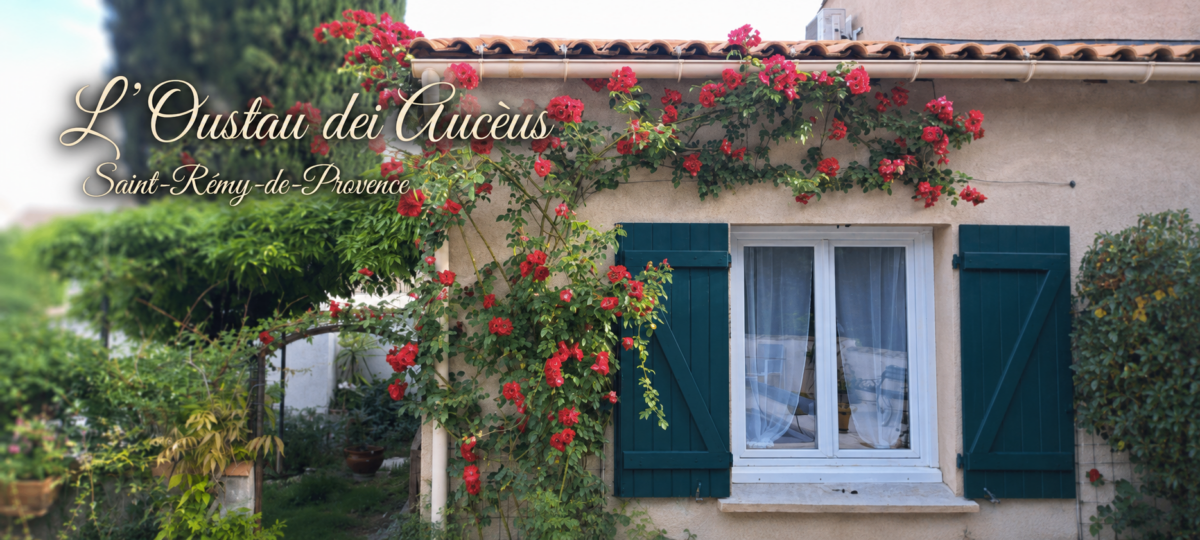 Arche de roses sur la façade sud de L’Oustau dei Aucèus au printemps, à Saint-Rémy-de-Provence.