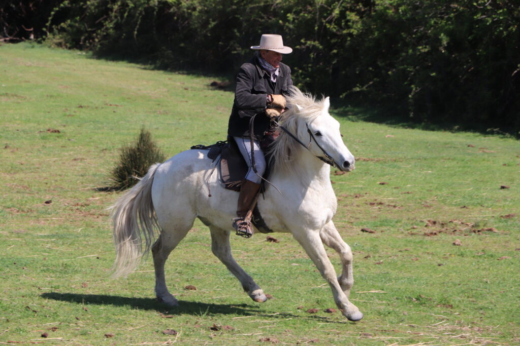 L'inter-saison est le moment où les gardians travaillent le plus pour offrir les "biou" (taureaux en provençal) en spectacle pendant les festivités aux voyageurs venant en Provence en juin et septembre à L'Oustau dei Aucèus Saint-Rémy-de-Provence.