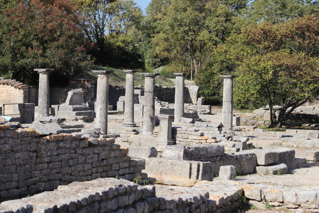 La cité antique de Glanum situé à 15 minutes de marche de la location de vacances est un lieu archéologique chargé d'histoire.