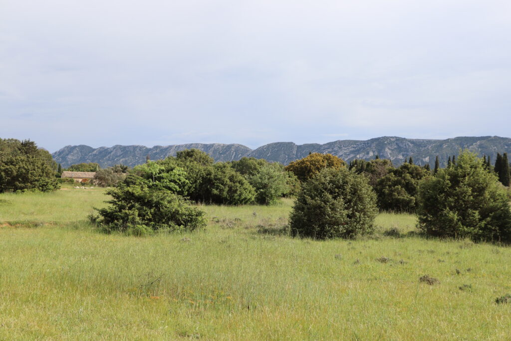 Cette Plaine de la Petite Crau face au Massif des Alpilles à Saint-Rémy-de-Provence est un site sauvage accessible pour de belles promenades à moins de 10 minutes du Mazet L'Oustau dei Aucèus gite de vacances pour 2 personnes.