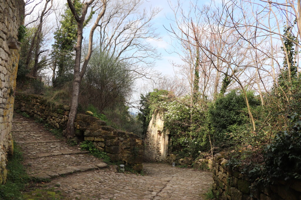 Calade en pierres sur tranche dans le vieux village d'Oppède-le-Vieux, chemin façonné par les hommes et découvert lors d'une promenade depuis notre location de vacances