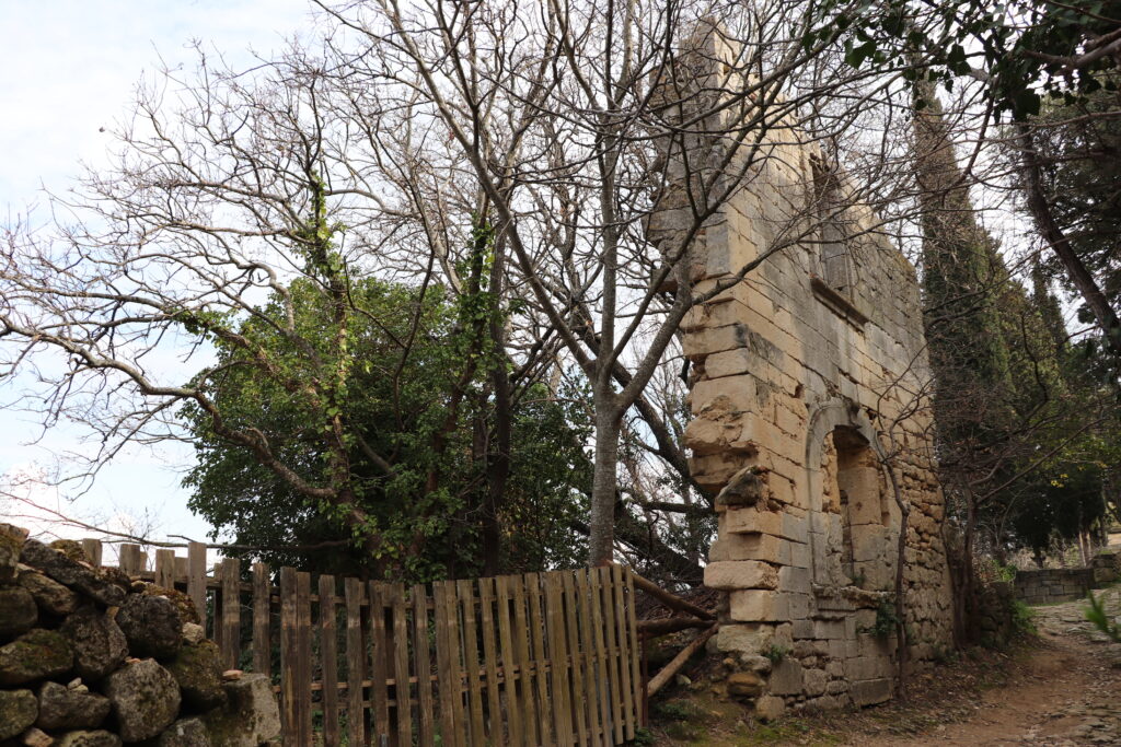 Vestige d'habitation en pierre à Oppède-le-Vieux, envahi par la végétation