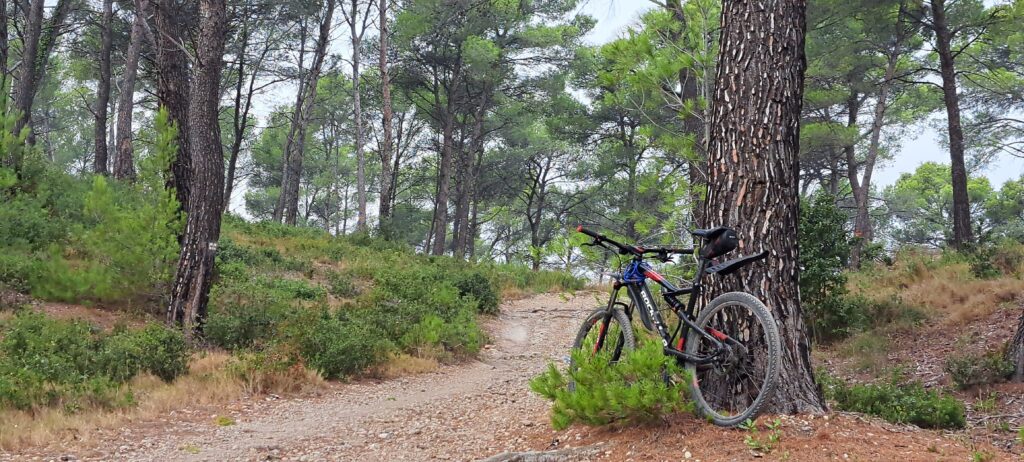 Une pause au cours d'une promenade à VTT sur le GR 6 dans le massif des Alpilles, au départ de Saint-Rémy-de-Provence et à proximité de L’Oustau dei Aucèus.